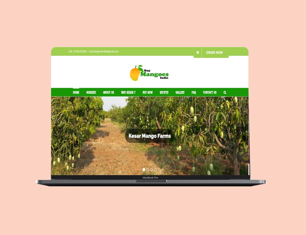 Web design case study - Buy Mangoes India